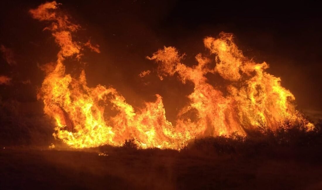 Antalya’nın Manavgat ilçesinde tarım arazisinde çıkan yangın, orman ve itfaiye