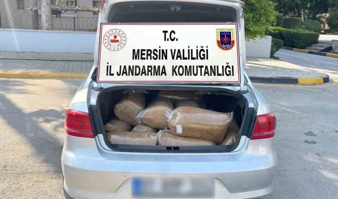 Mersin’de düzenlenen operasyonda 100 kilo kaçak tütün ele geçirildi, 1