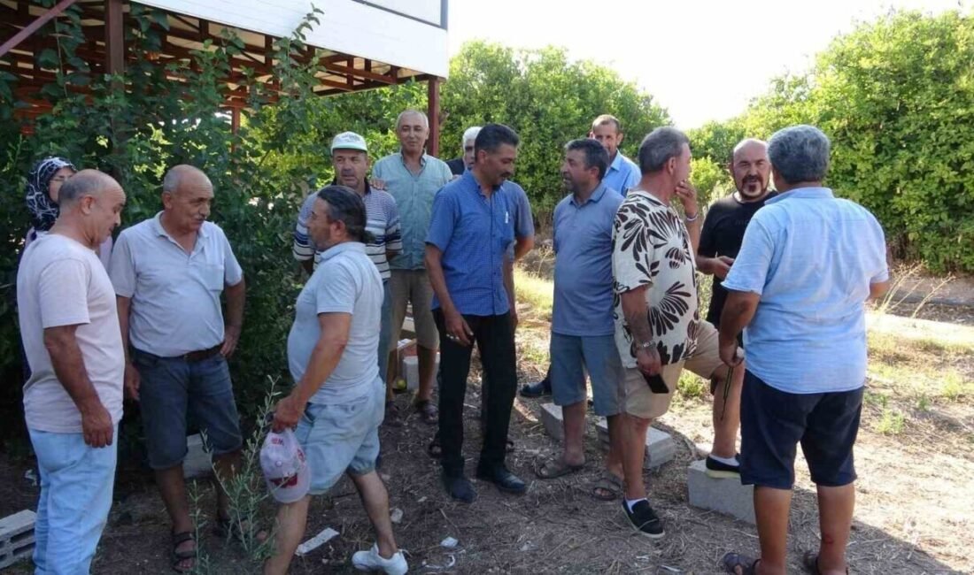 Mersin’in merkez Mezitli ilçesine bağlı Davultepe ve Tece mahallelerinde köylü