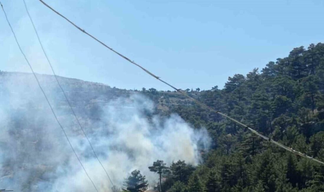 Mersin’in Mut ilçesinde çıkan orman yangını, karadan yapılan müdahale sonucu