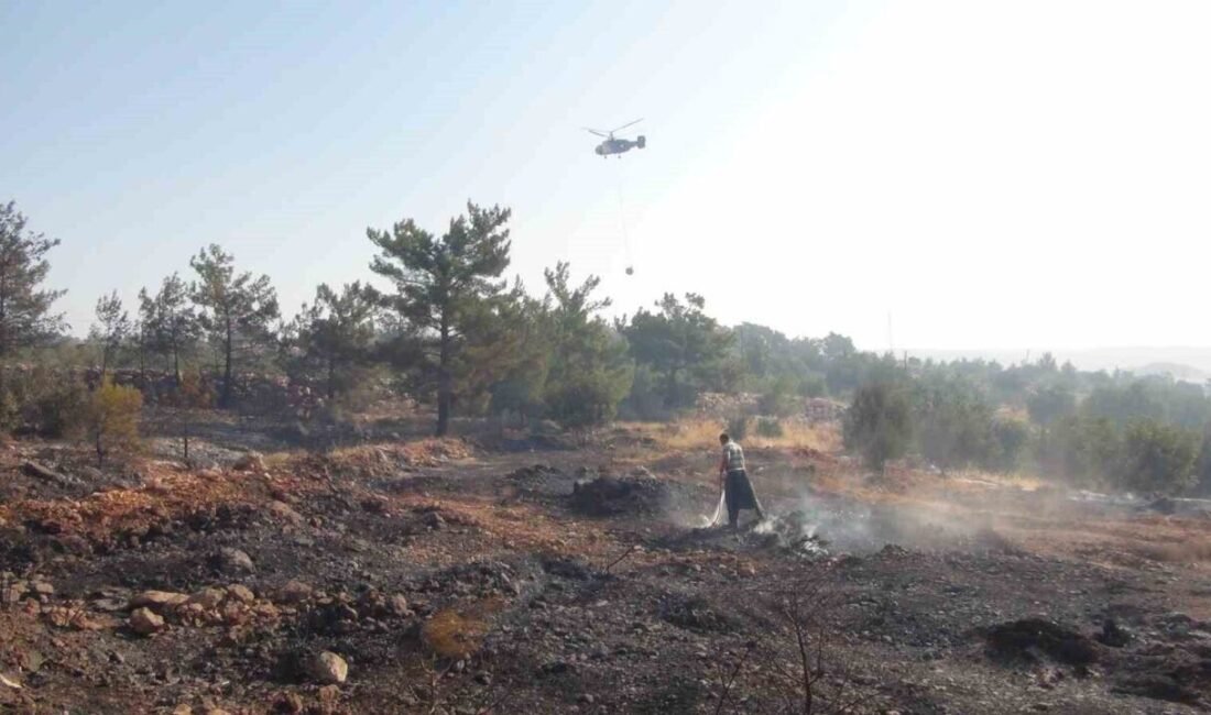 Mersin’in Silifke ilçesi sınırlarında sabaha karşı çıkan orman yangınına 3