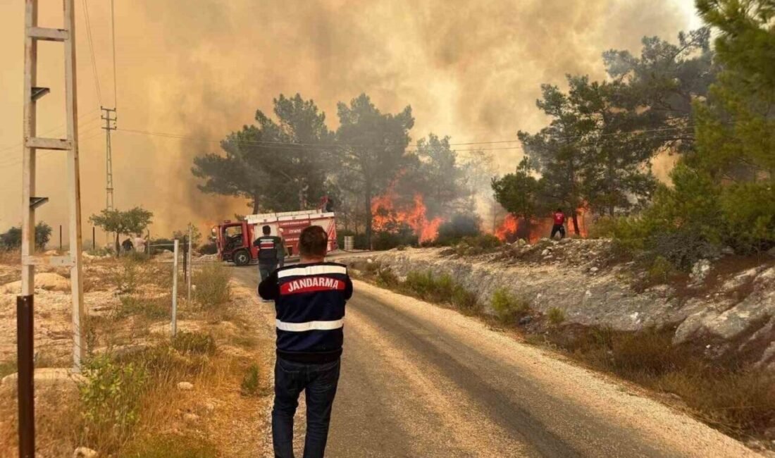 Mersin’in Silifke ilçesinde meydana gelen orman yangınına jandarma ekipleri hızlı