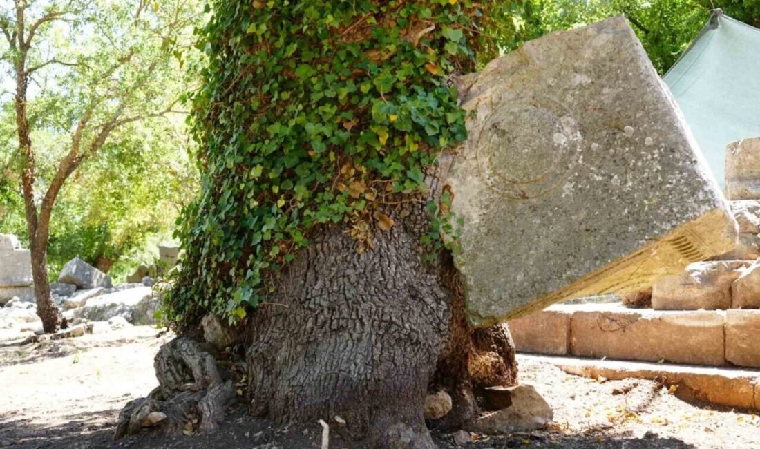 Antalya’da hem arkeolojik sit hem milli park alanı olan Termessos