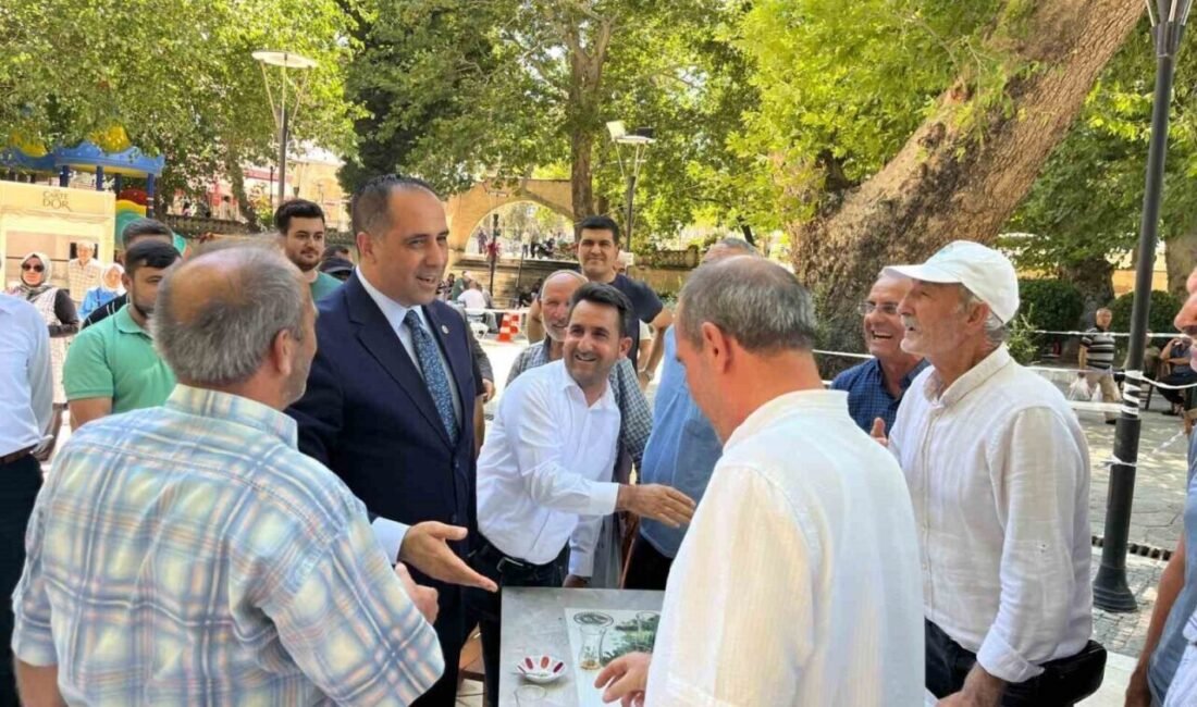 AK Parti Mersin Milletvekili ve Kamu İktisadi Teşebbüsleri (KİT) Komisyonu