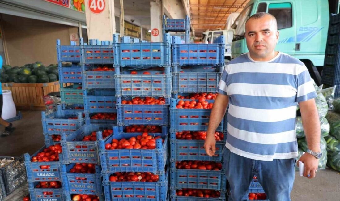 Kahramanmaraş’ta salça dönemi başlamayınca domatesin fiyatı 3 TL’ye kadar düştü.