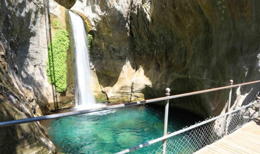 Alanya Belediyesi tarafından işletilen ve 22 Aralık 2024 tarihinde yaşanan