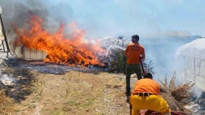Antalya’nın Serik ilçesinde çalılık alanda çıkan yangın, rüzgarın etkisiyle seralara