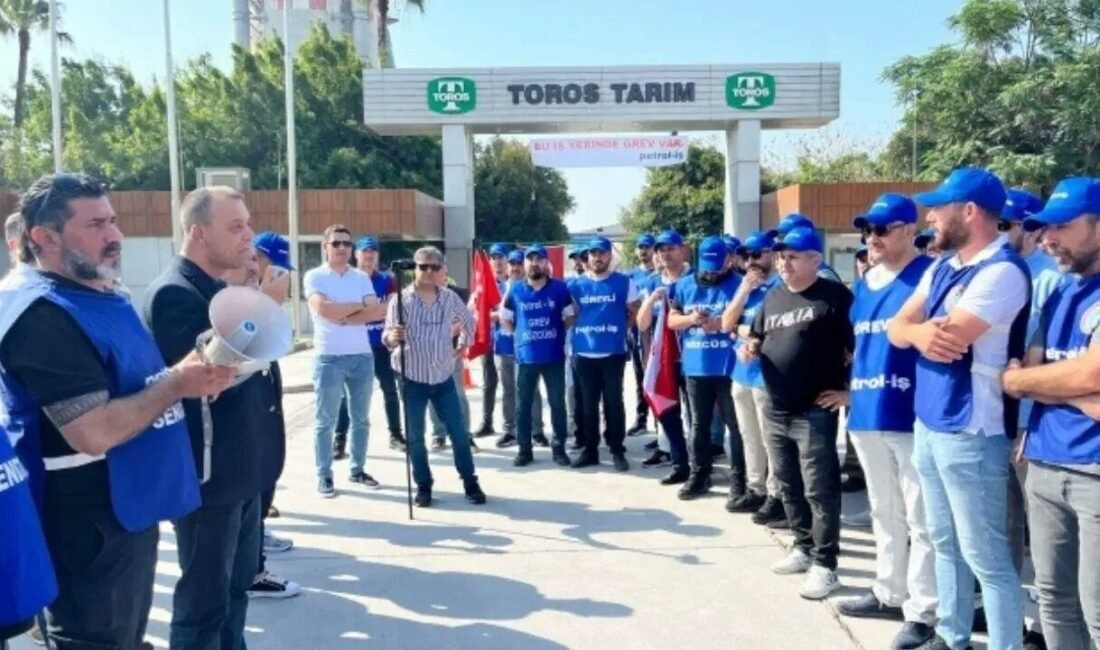 Adana’nın Ceyhan ve Mersin’in Akdeniz ilçelerinde faaliyet gösteren Tekfen Holding’e