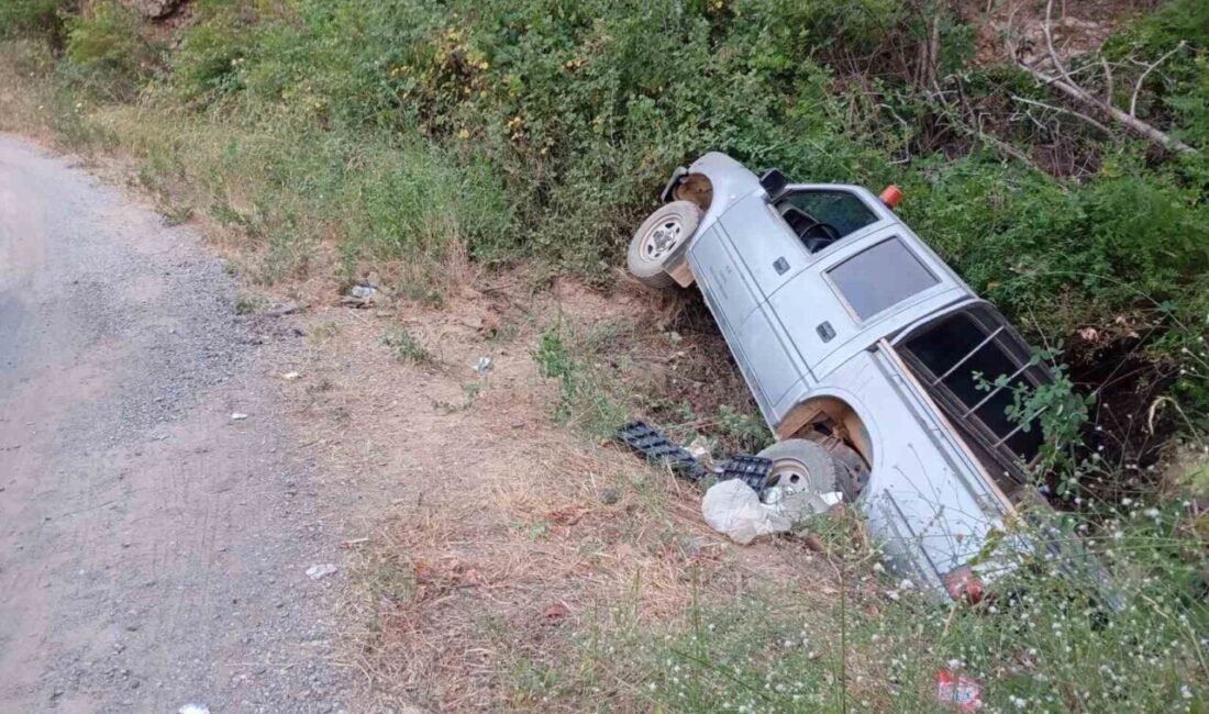 Yangın ekibine yemek götüren araç şarampole yuvarlandı Antalya’nın Gazipaşa ilçesinde devam eden orman yangınında görevli personellere yemek