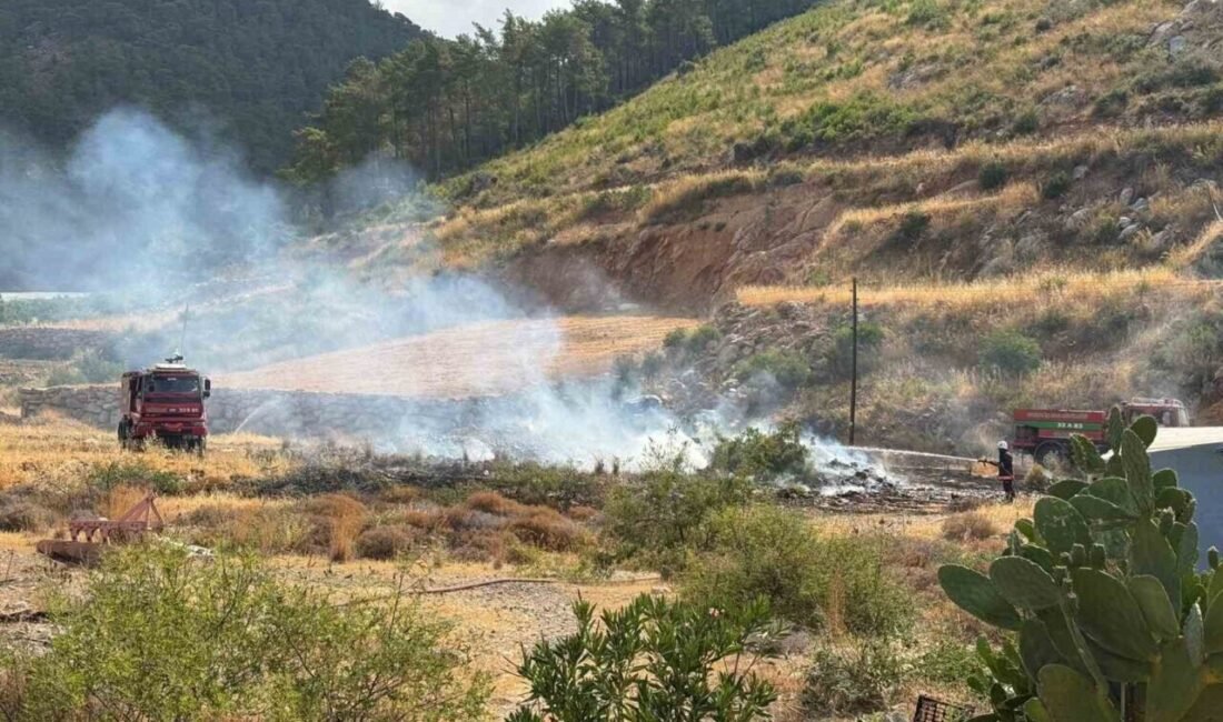 Mersin’in Bozyazı ilçesinde arazide çıkan yangın ormana sıçramadan söndürüldü. Yangın,