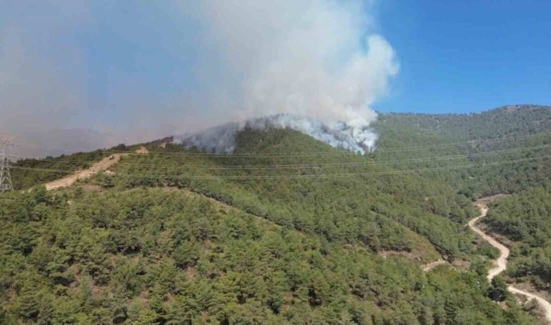 Hatay’da yangının 25’inci saatinde ekiplerin karadan ve havadan müdahalesi dronla