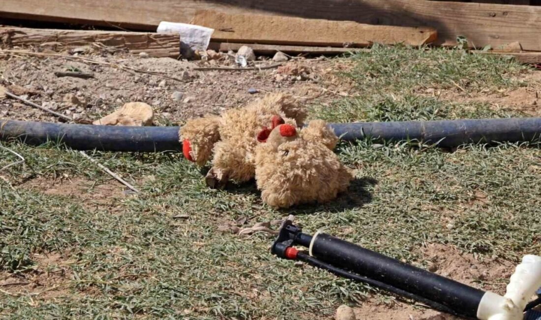 Antalya’nın Aksu ilçesinde çalılık alanda başlayıp ağaçlık alanlara zarar veren