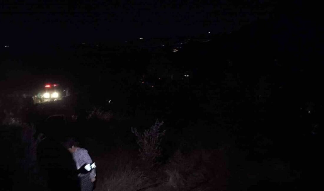 Hatay’ın Yayladağı ilçesinde çıkan orman yangını ekiplerin müdahalesiyle kontrol altına