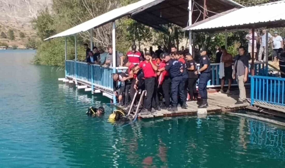 Antalya’nın Manavgat ilçesinde yeğeninin baraj gölüne düşen terliğini almak için