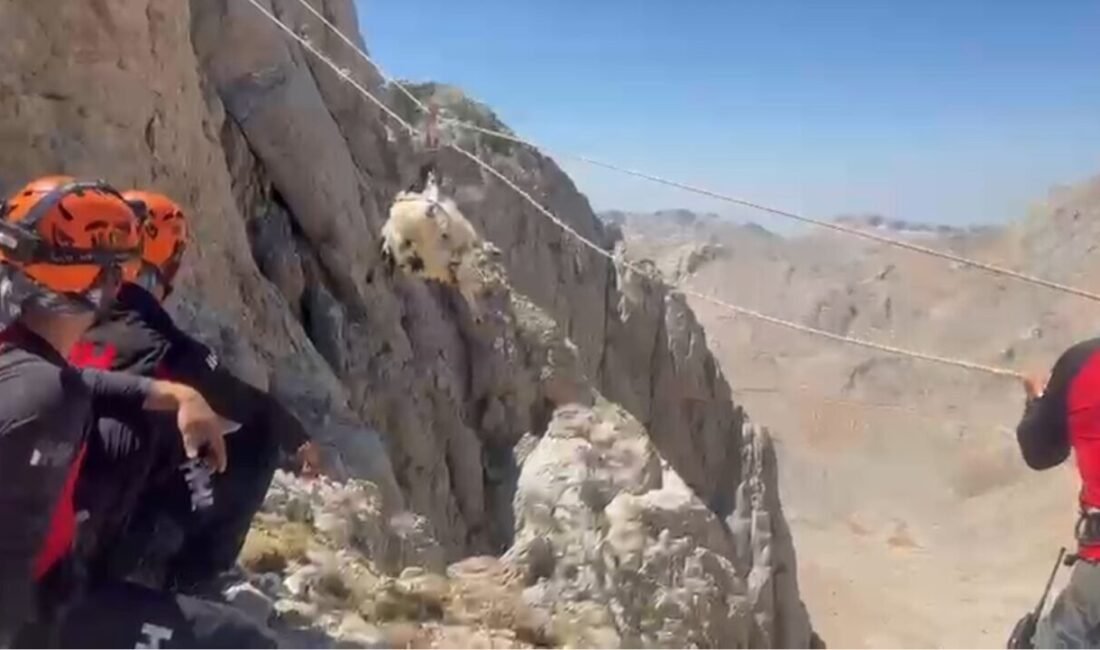 Antalya’nın Gündoğmuş ilçesinde 2 bin 600 rakımda 9 gün boyunca