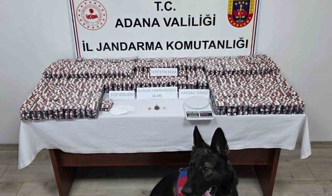 Adana’da jandarma ekiplerinin düzenlediği operasyonda 19 bin 167 adet sentetik