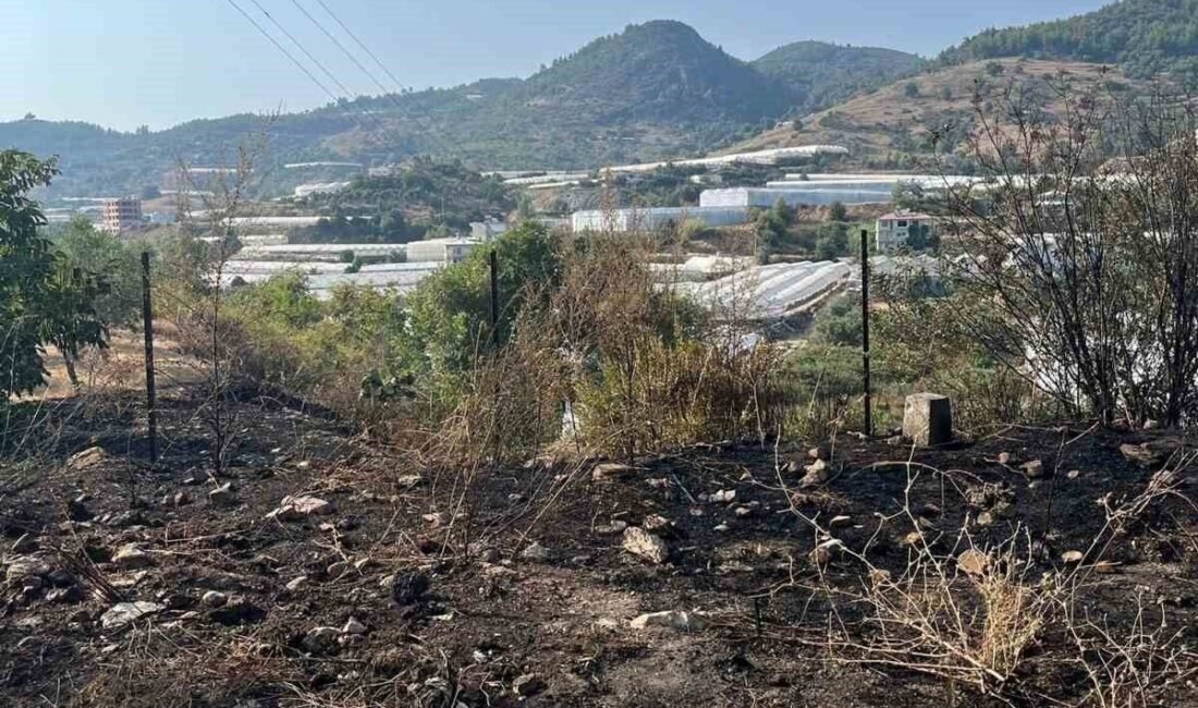 Antalya’nın Alanya ilçesi Emişbeleni Mahallesi’nde otluk alanda çıkan yangın, itfaiye
