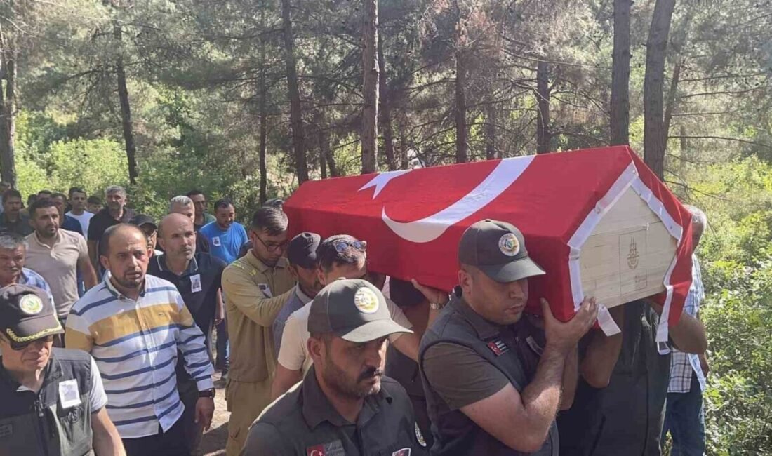 Osmaniye’nin Hasanbeyli ilçesinde çıkan orman yangınını söndürme çalışmalarına destek vermek