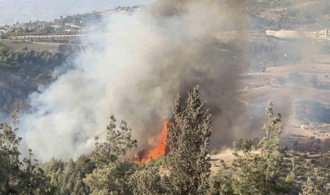 Osmaniye’nin Düziçi ilçesinde ormanlık alanda çıkan yangını söndürmek için ekiplerin