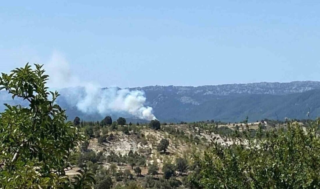 Mersin’in Bozyazı ilçesinde, Kozaağacı Yaylası Kabaağaç mevkisinde ormanlık alanda çıkan