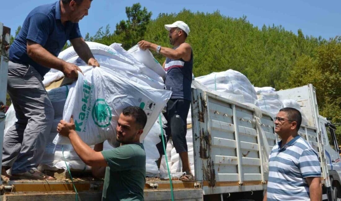 Antalya Büyükşehir Belediyesi, organik tarımı geliştirmek için Alanya’nın 13 mahallesinde