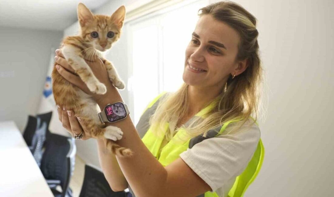 Antalya’da Boğaçayı’na düşen yavru bir kedi Antalya Büyükşehir Belediyesi’nin bölgede
