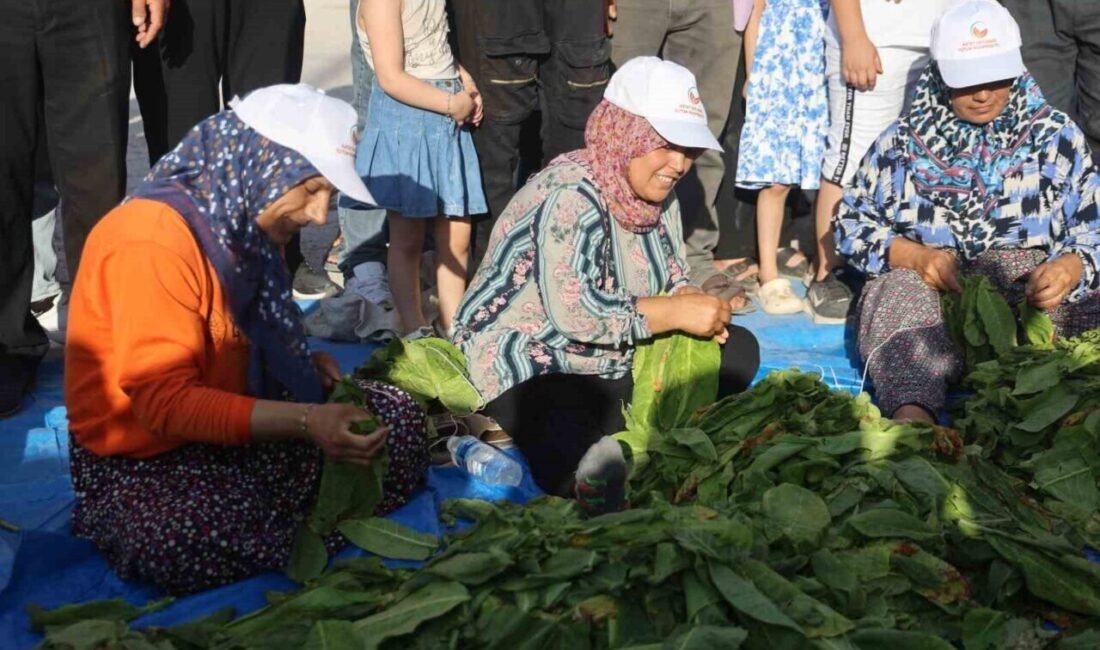 Hatay’ın Yayladağı ilçesinde 23’üçüncüsü gerçekleştirilen geleneksel kültür sanat ve aba