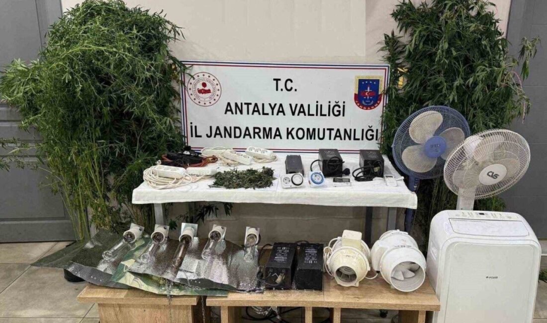 Evini uyuşturucu serasına çevirdi, kaçamadı Antalya’nın Manavgat ilçesinde jandarma ekiplerinin düzenlediği operasyonda evinde kenevir yetiştiren