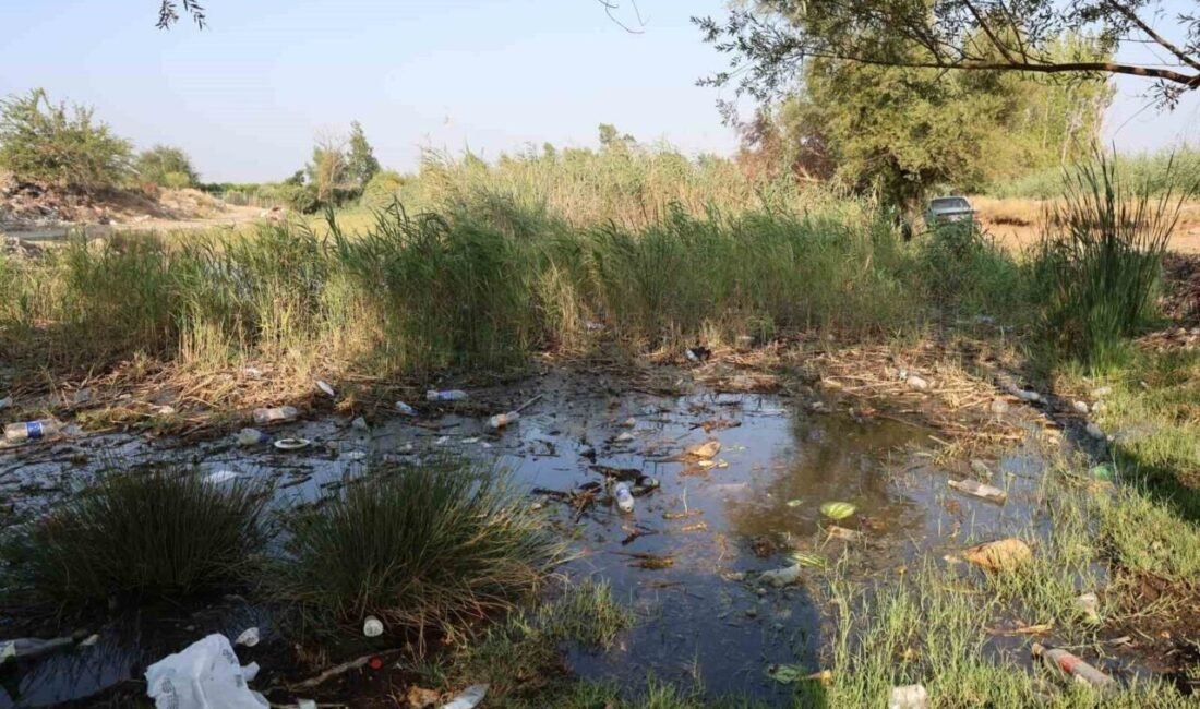 Adana’nın Kozan ilçesinde yer alan Alapınar ve Bekirce göletleri, vatandaşların