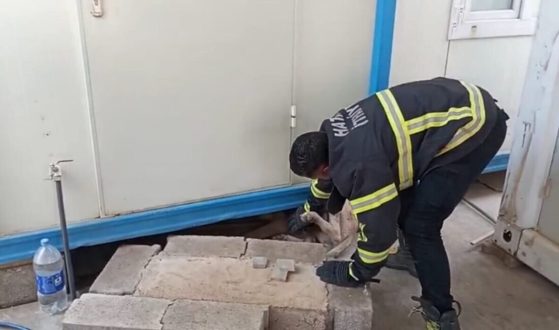 Hatay’da konteynerin altına sıkışarak mahsur kalan köpek, itfaiye ekiplerinin müdahalesiyle