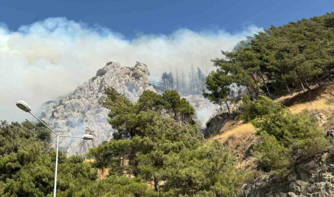 Hatay’da ormanlık alanda çıkan yangına ekipler karadan müdahaleyi sürdürüyor. Yangın,