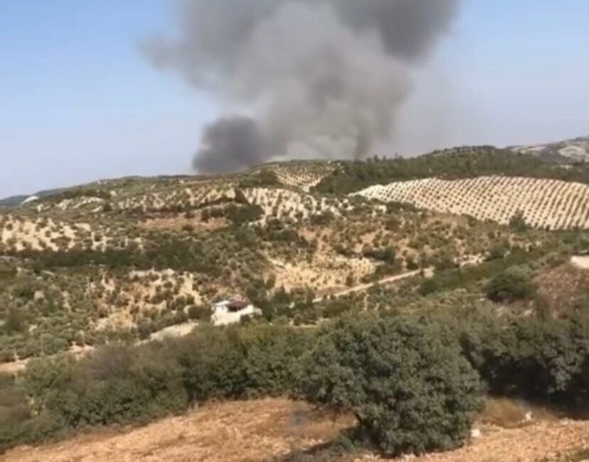 Hatay’ın Yayladağı ilçesinde çıkan orman yangınına ekiplerin müdahalesi başladı. Yayladağı