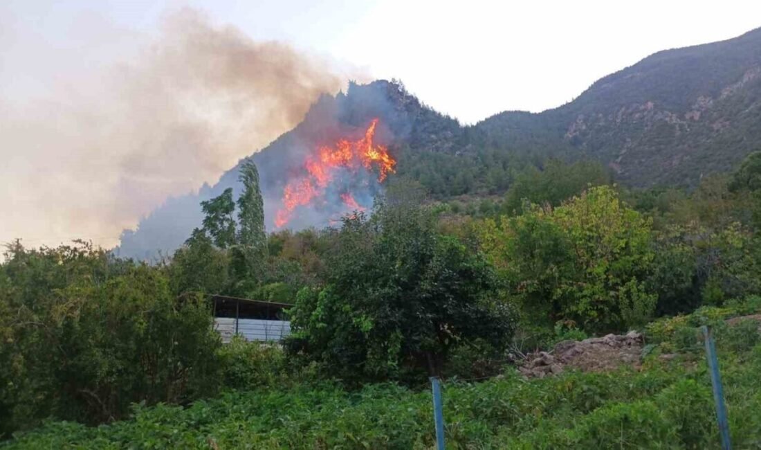 Hatay’da ormanlık alanda yangın çıktı. Yangın, Kırıkhan ilçesi Bektaşlı Mahallesi’nde