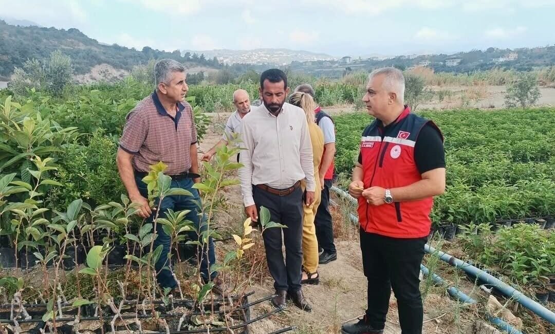Hatay’ın Samandağ ilçesinde yürütülen fidan üretim sahaları incelendi. Türkiye’de tarımın