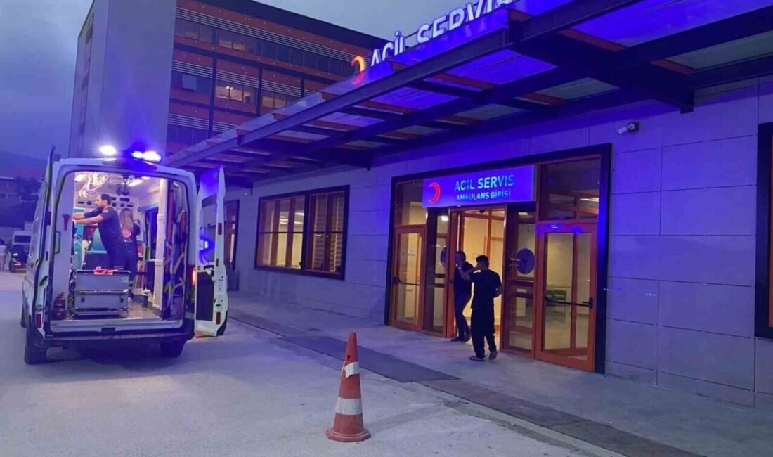 Osmaniye’nin Düziçi ilçesinde inek sağımı sırasında yaşanan elektrik kaçağı 3
