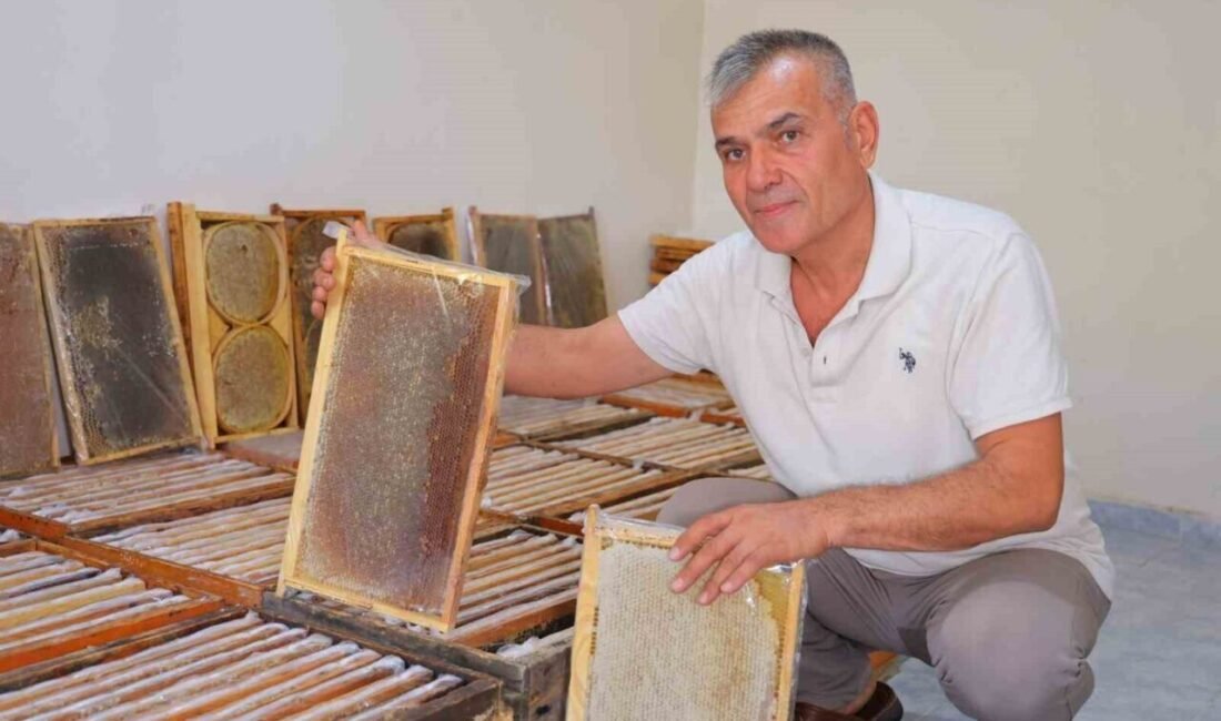 Kahramanmaraş’ta bu yıl 10 bin ton üzeri rekolte beklenen doğal