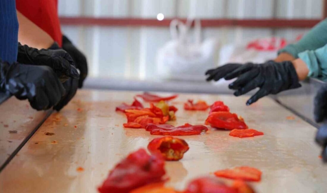 Kahramanmaraş’ta geçmişten günümüze yemeklere tat verip sofraları süsleyen ve kentin