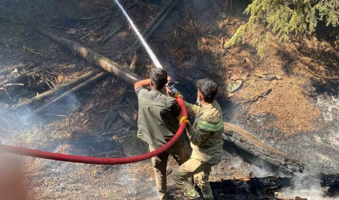 Kahramanmaraş’ın Göksun ilçesi kırsalında çıkan orman yangınına ekiplerin müdahalesinin sürdüğü