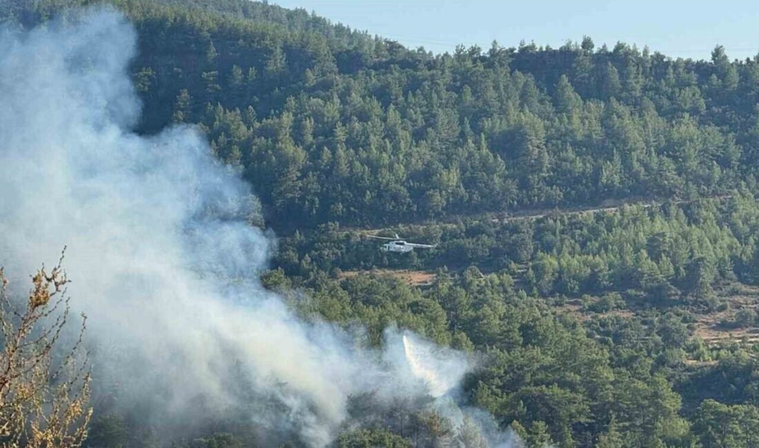 Antalya’nın Manavgat ilçesinde Seki mevkii olarak adlandırılan bölgede orman yangını