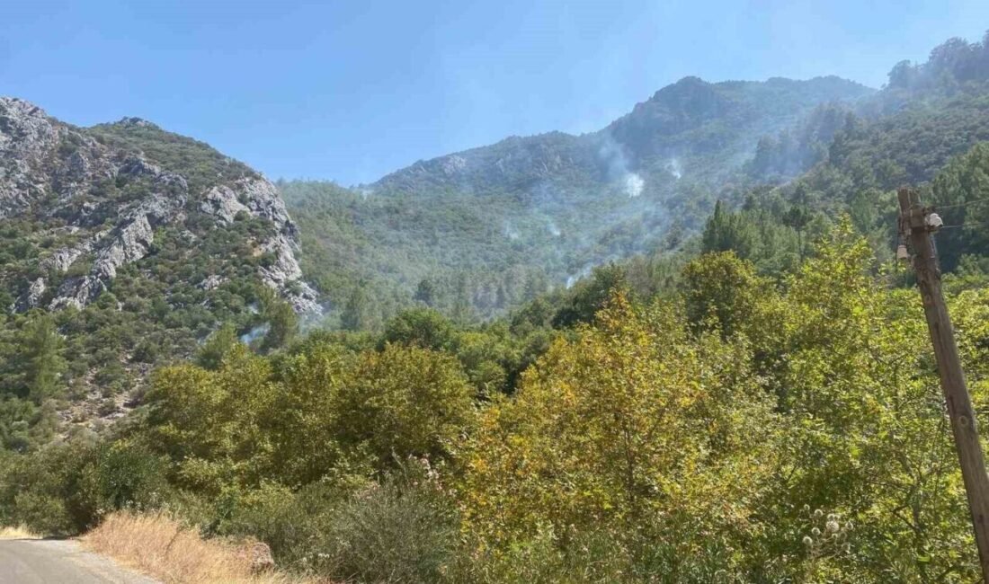 Mersin’in Anamur ilçesinde dün öğleden sonra çıkan orman yangını ekiplerin