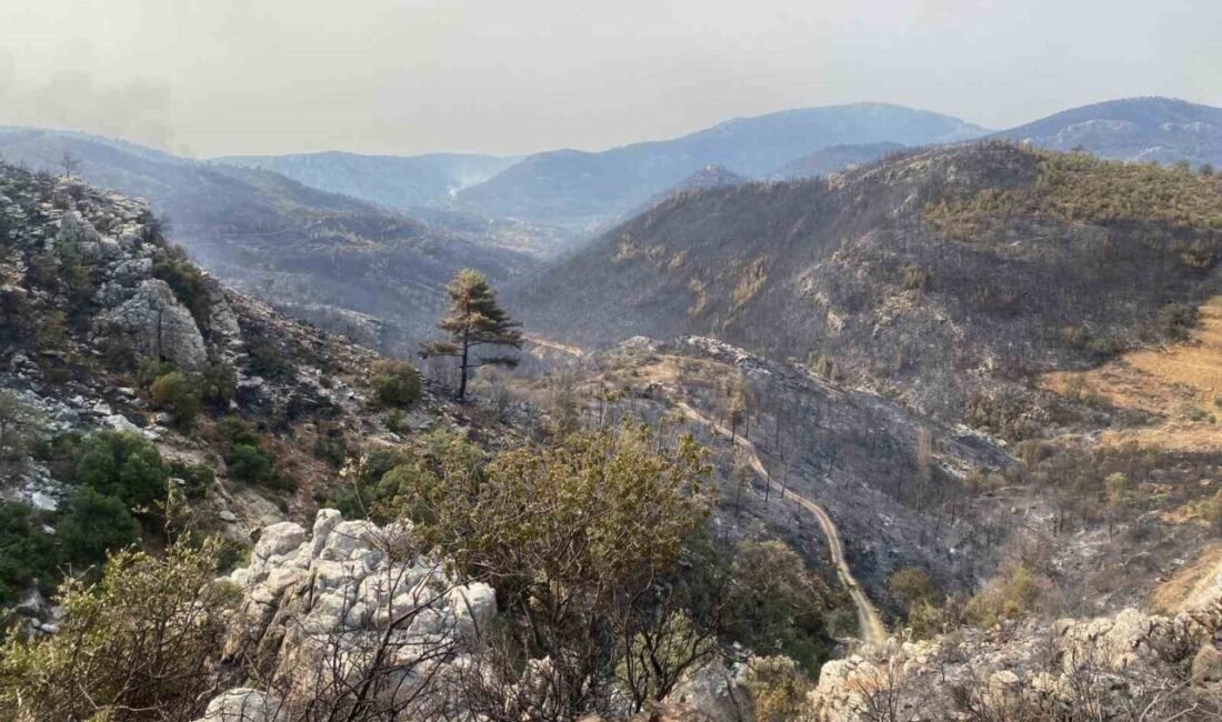 Mersin’in Silifke ilçesinde 3 gündür devam eden orman yangınının büyük