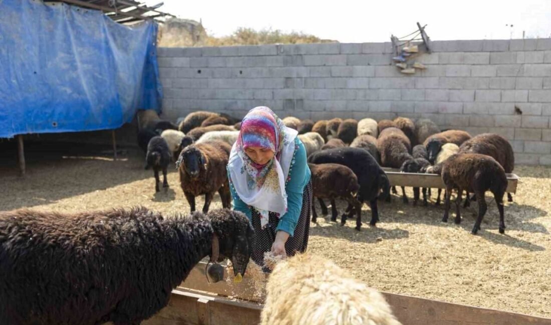 Mersin Büyükşehir Belediyesinin ‘Hadi Gel Köyümüze Destek Verelim’ projesi, kırsalda