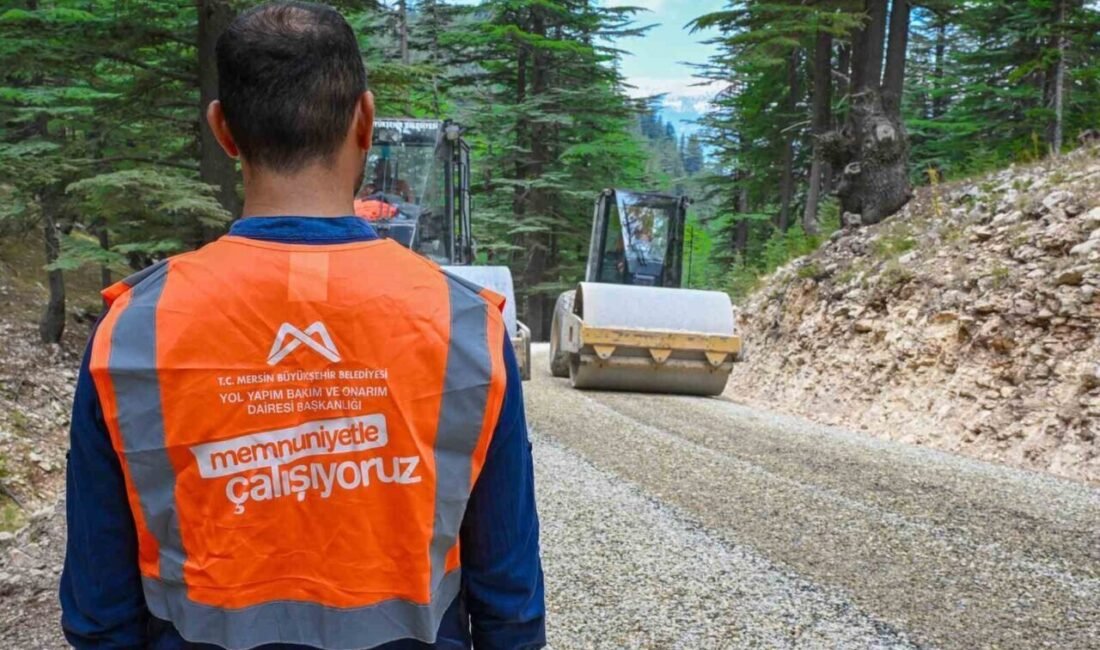 Mersin Büyükşehir Belediyesi Yol Yapım Bakım ve Onarım Dairesi Başkanlığı,