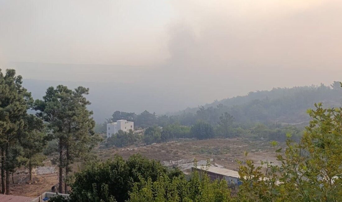 Mersin’in Silifke ilçesi kırsalında dün öğle saatlerinde çıkan ve ormana