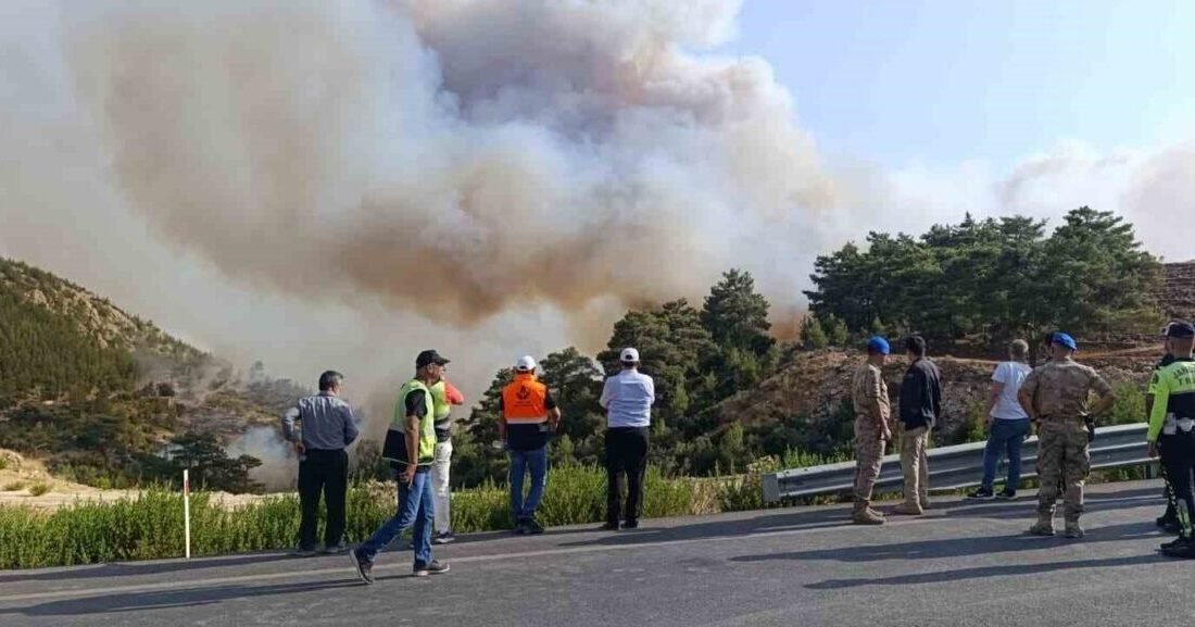 Mersin’in Silifke ilçesi kırsalındaki ormanlık alanda çıkan ve yerleşim yerlerini