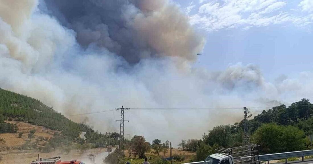 Mersin’in Silifke ilçesi kırsalındaki ormanlık alanda çıkan ve yerleşim yerlerini