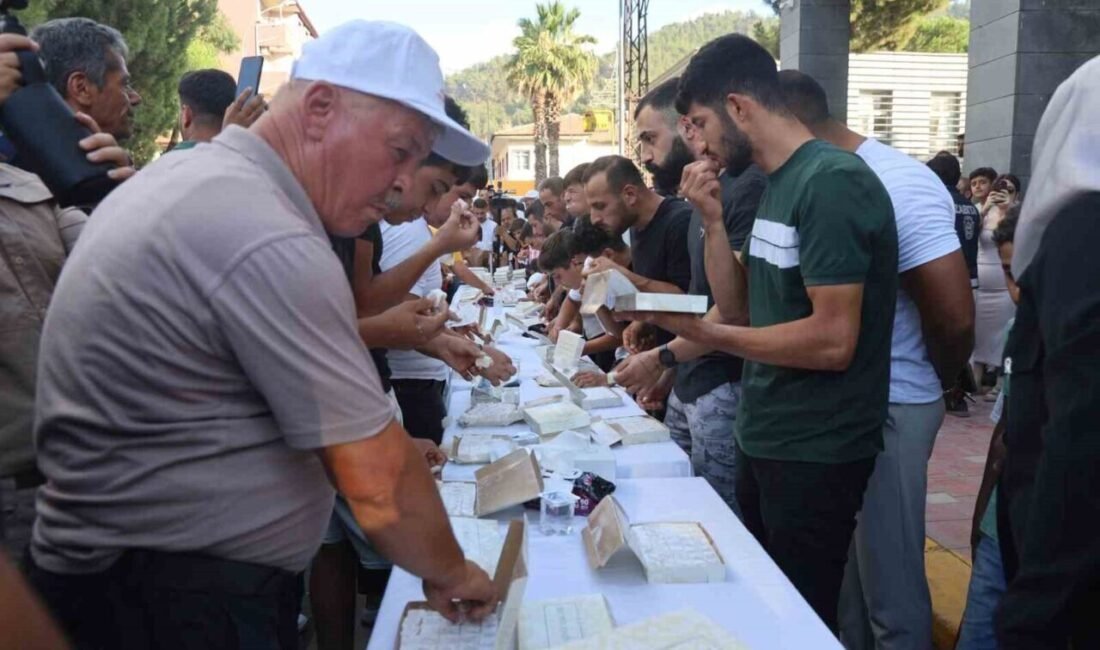 Hatay’ın Yayladağı ilçesinde 23’üçüncüsü düzenlenen geleneksel kültür sanat ve aba