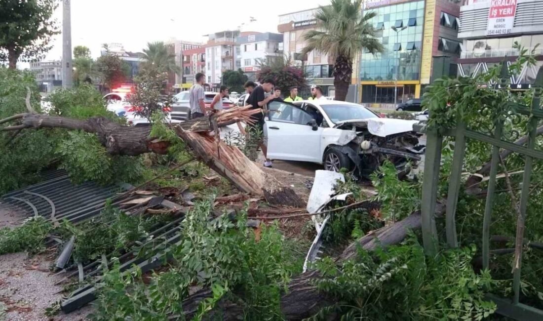 Antalya’da direksiyon hakimiyetini kaybeden sürücü orta refüjde bulunan ağaç ve
