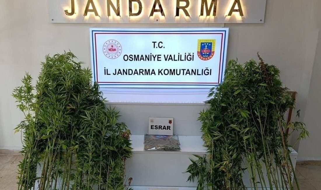 Osmaniye’de jandarma ekiplerince son bir haftada düzenlenen operasyonlarda 121 şüpheli