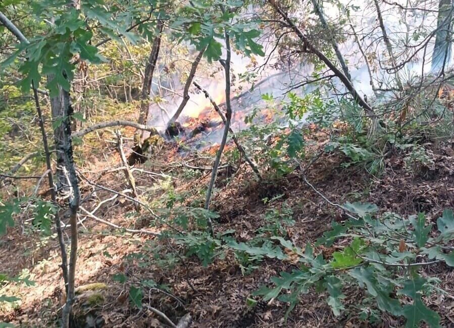 Osmaniye’de, Amanos Dağları eteklerinde çıkan orman yangını, ekiplerin havadan ve